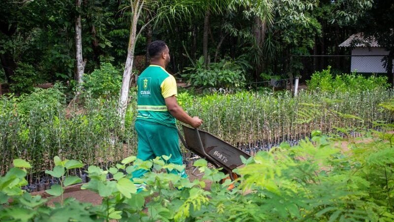 Horto Florestal terá programação especial com café da manhã, palestras e distribuição de mudas
