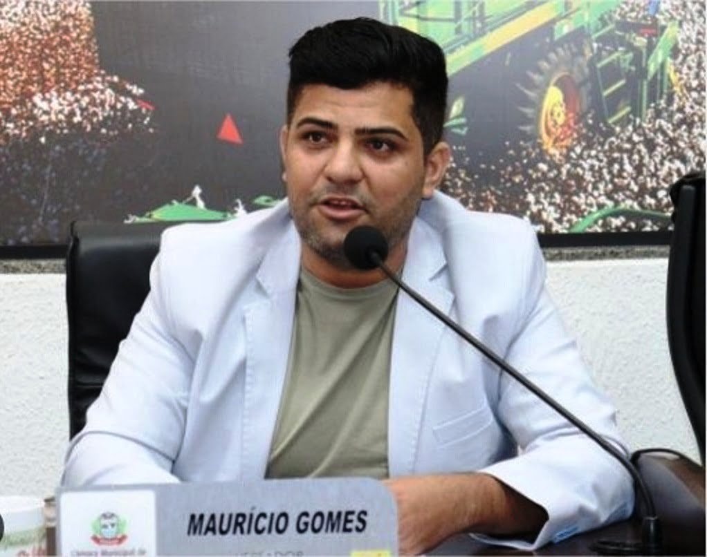 Vereador participa de reunião no Ibama  para destravar MT 242