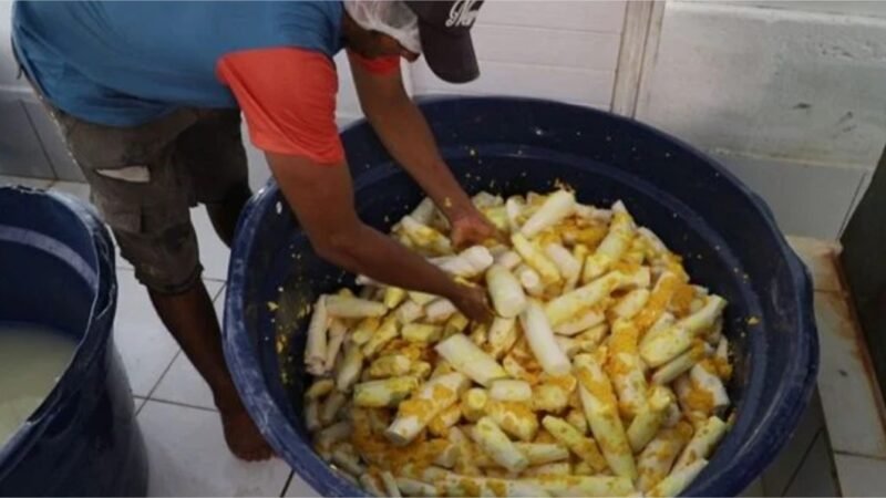 Agricultura familiar pode melhorar merenda escolar indígena