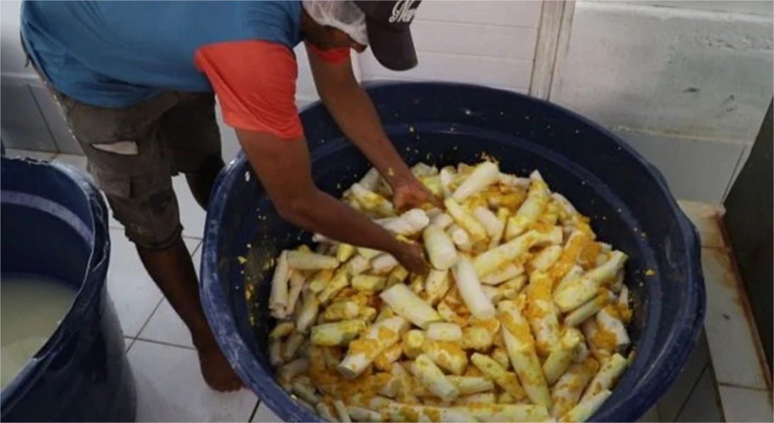 Agricultura familiar pode melhorar merenda escolar indígena
