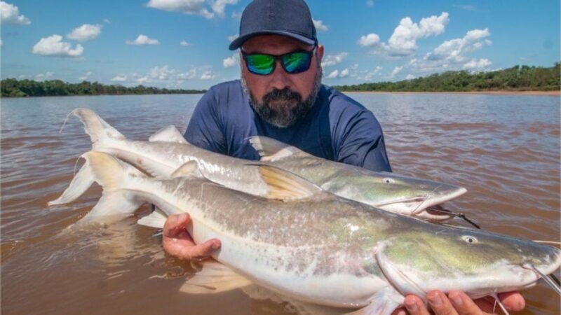 Presidente do Fórum Regional de Turismo: “Transporte Zero se diferencia pelo olhar social, com assistência aos pescadores”