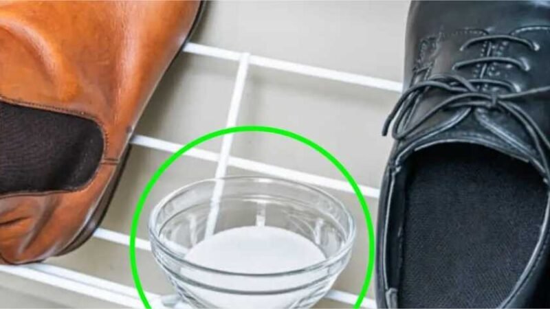 Veja como limpar sua sapateira de forma rápida e fácil e deixá-la perfumada