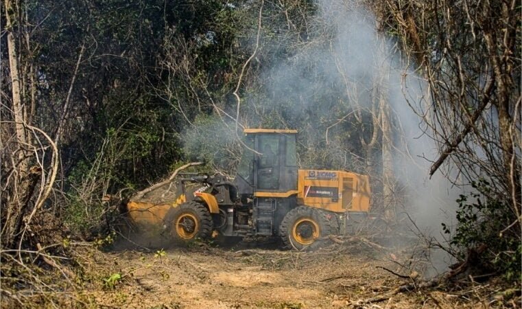 Consema concede perdão de R$ 13,5 milhões em multas ambientais para pessoas físicas, fazenda e hidrelétrica
