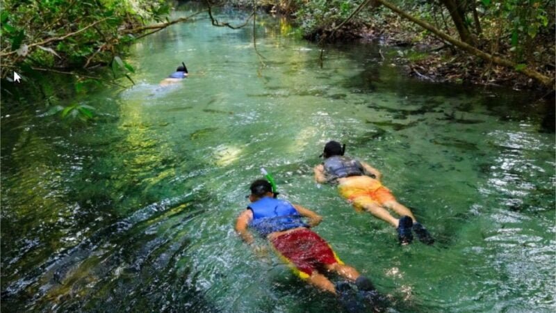 Turistas de 21 países visitaram MT em busca de negócios, aventura e lazer