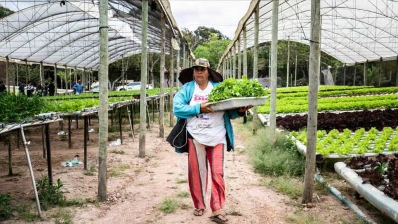 Prefeitura reforça o convite aos agricultores familiares para aderirem ao Programa Agro da Gente