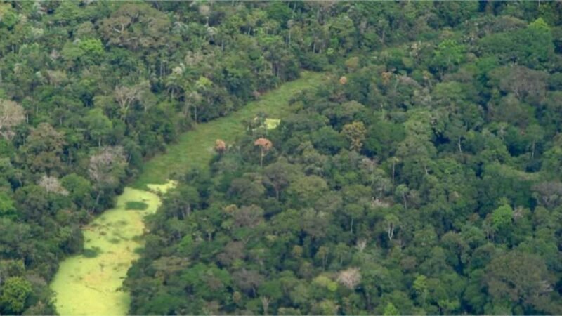 Mortes violentas: 1 a cada 5 no Brasil ocorreu na Amazônia Legal