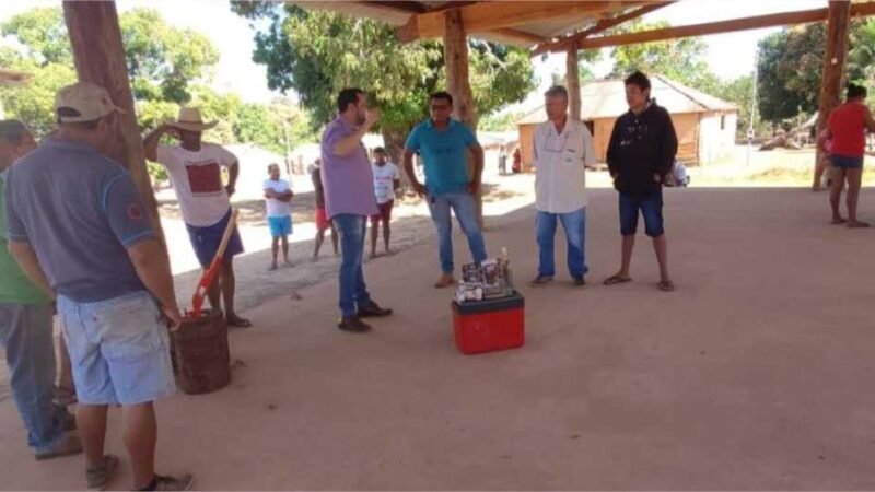 Castanha de baru gera fonte de renda para comunidades indígenas