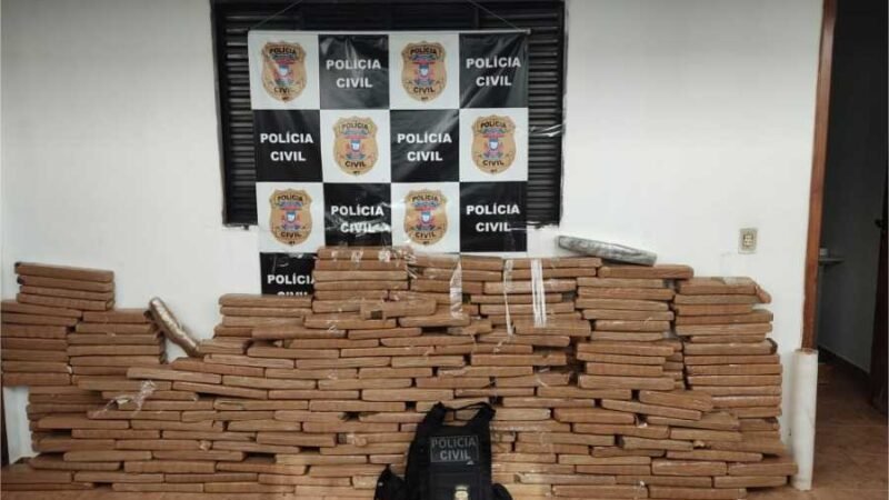 Polícia Civil apreende 280 tabletes de maconha em fazenda em Pedra Preta