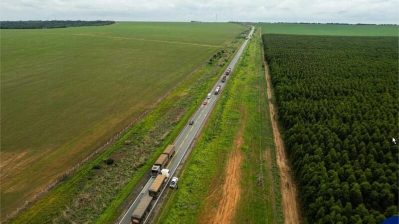 Agronegócio é diferencial para crescimento populacional em dez municípios de MT