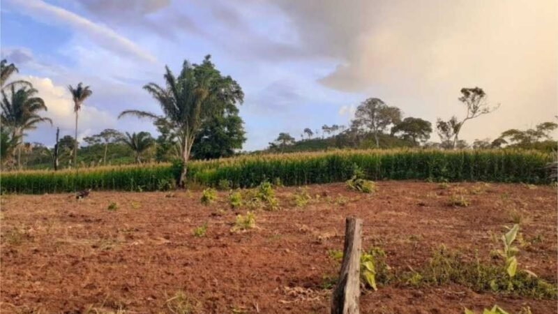 Entidade envia recomendação ao Estado sobre regularização de gleba em Santa Terezinha