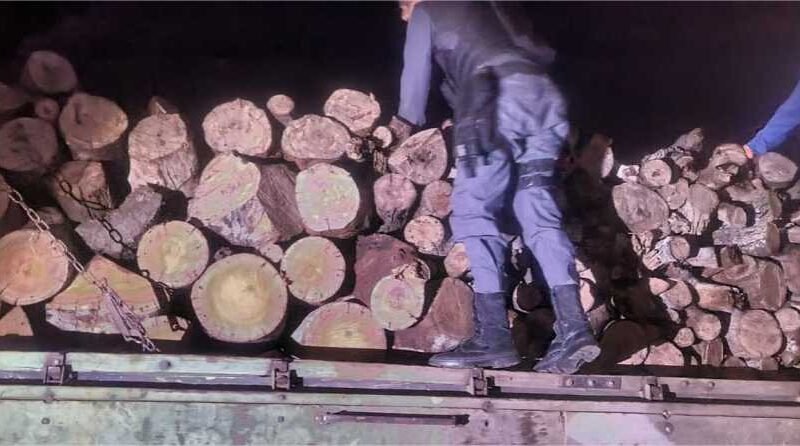 PM prende três homens e apreende caminhão carregado com madeira irregular