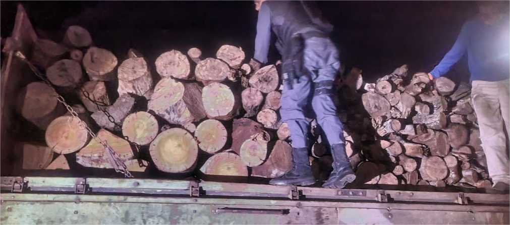 PM prende três homens e apreende caminhão carregado com madeira irregular