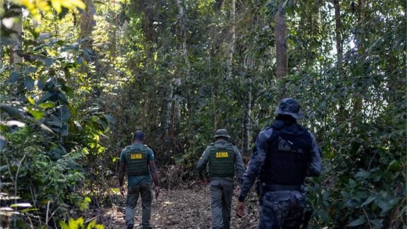 Governo de MT aplicou R$ 937 milhões em multas por crimes ambientais no primeiro semestre