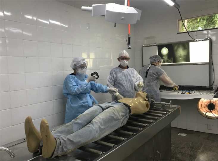 Saiba como é elaborado o laudo de necropsia do IML