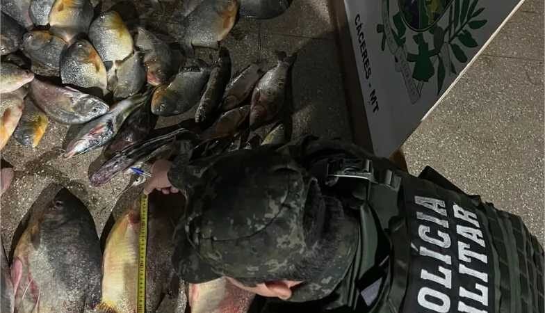 Polícia ambiental apreende quase 70 kg de pescado irregular na MT-343