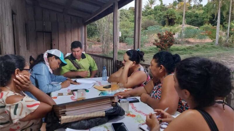 Pequenos produtores de Alta Florestas estão na última etapa para certificação orgânica