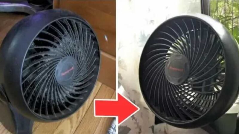 Limpeza de ventiladores: os truques para remover poeira e sujeira sem desmontá-los