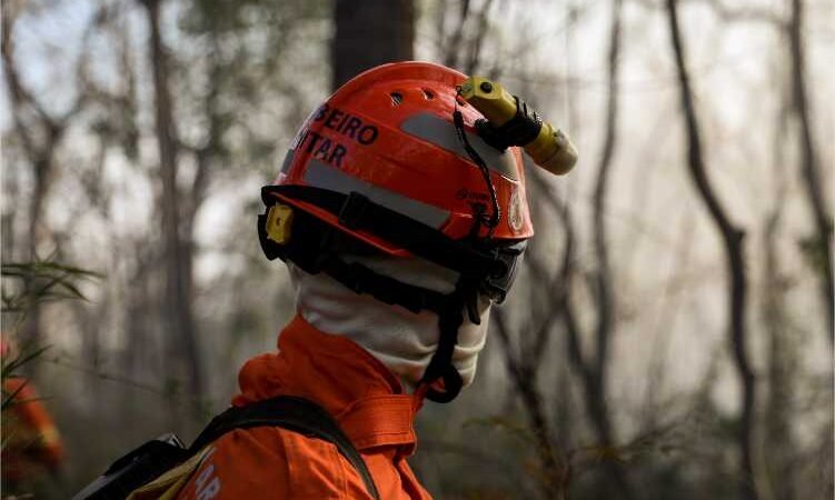 Corpo de Bombeiros já aplicou R$ 77,9 milhões em multas por uso irregular do fogo em 2023