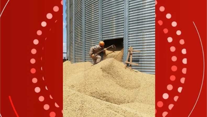 Trabalhador morre soterrado por grãos de soja quando fazia inspeção em silo em MT