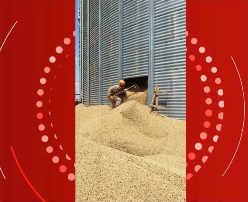 Trabalhador morre soterrado por grãos de soja quando fazia inspeção em silo em MT