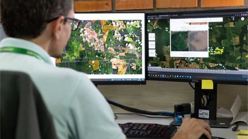 Sema-MT embarga áreas desmatadas ilegalmente mesmo sem identificar proprietário