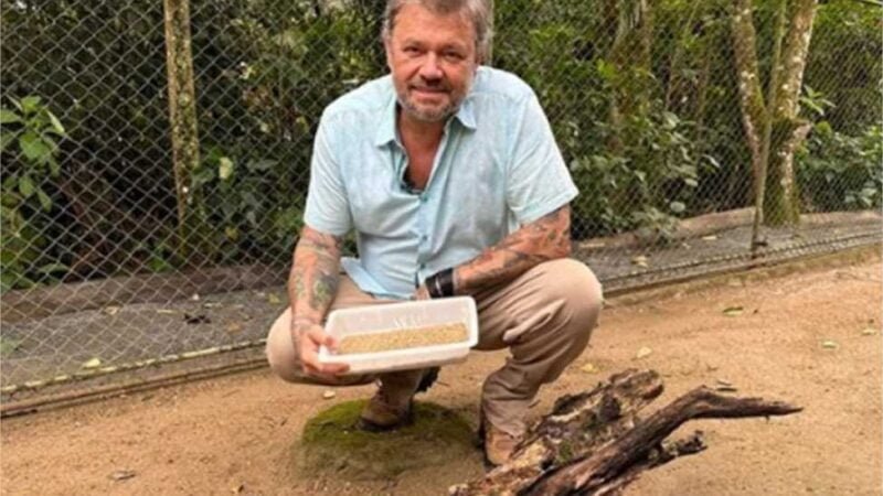 ExpoPet Cuiabá traz a 1° competição Centro-Oeste Groomer de MT