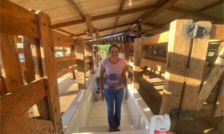 Produtora familiar que tira mais de 100 litros de leite manualmente por dia ganha ordenha mecânica do Governo de MT