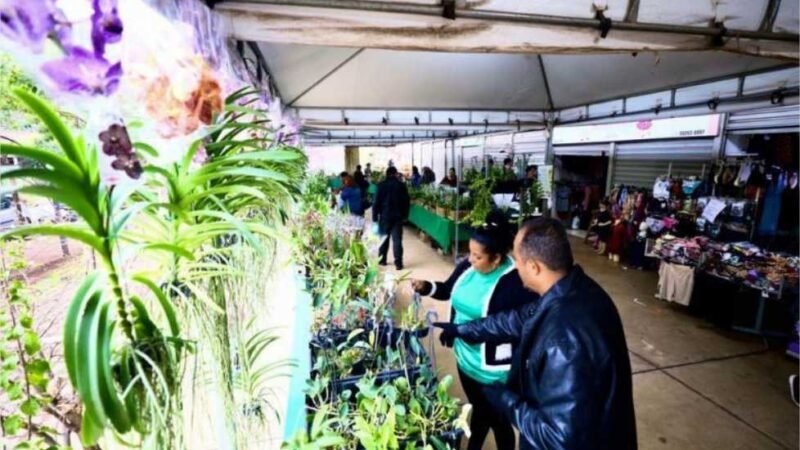 Cuiabá terá mais uma edição do Festival de Orquídeas e Rosas do Deserto