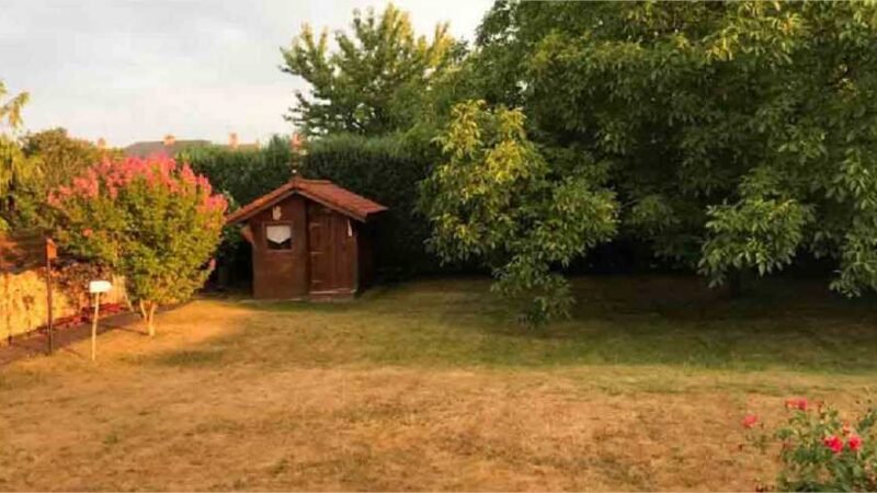 4 dicas dos profissionais para salvar um gramado arruinado pela seca!