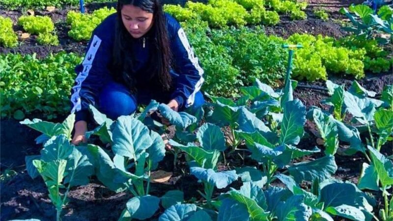Escola estadual de tempo integral envolve mais de 300 estudantes na produção de hortaliças