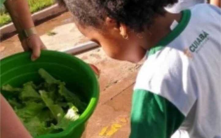 Vereador e Prefeitura desenvolvem projeto de horta na creche Amália Curvo