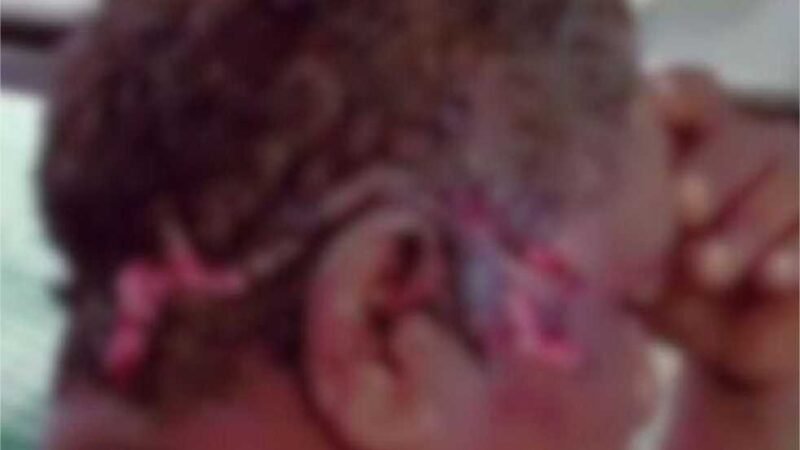 Onça “destrói” cabeça de indígena durante ataque preocupante em Nova Bandeirantes