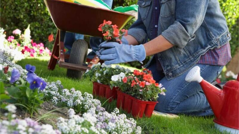 5 melhores dicas naturais para seu jardim