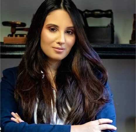 Como utilizar a internet na pré-campanha