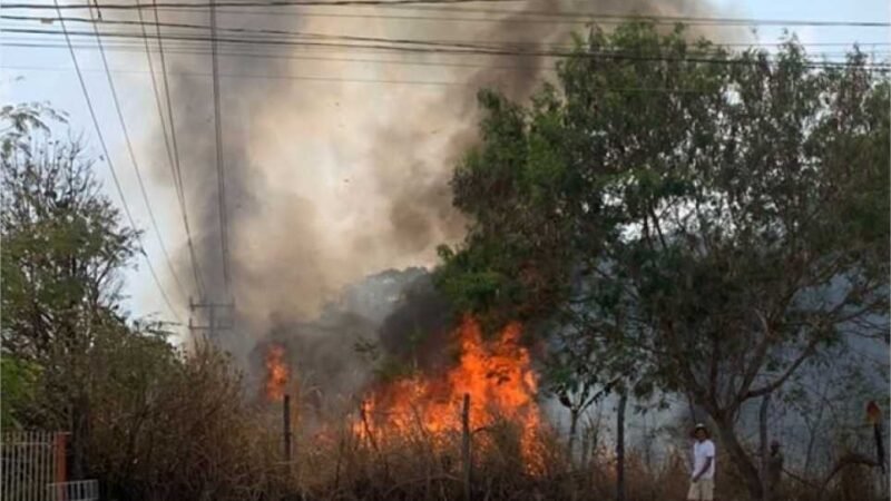 Vídeo mostra homem colocando fogo em terreno baldio no interior