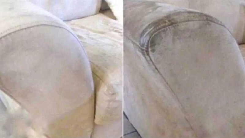 Manchas no sofá: como removê-las em minutos com o mínimo esforço?