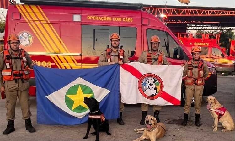 Bombeiros e cães de Mato Grosso auxiliam nas buscas por pessoas desaparecidas no RS