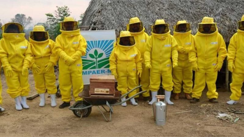 Indígenas participam de oficina da Empaer para fomentar a produção de mel no Vale do Araguaia