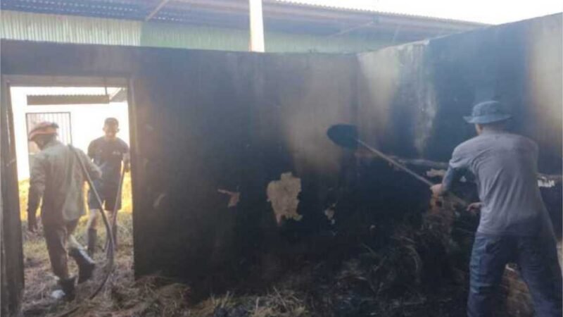 Baias da Cavalaria da PM de Cuiabá pegam fogo e assustam populares; veja vídeo