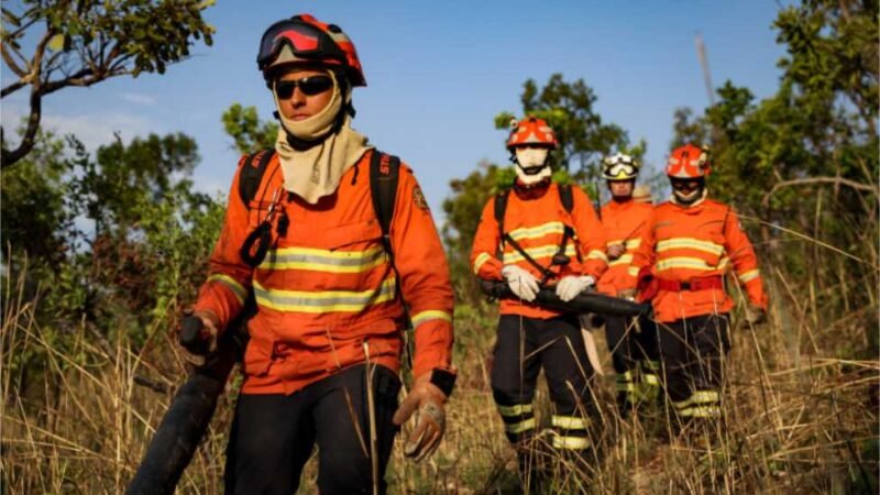 Mato Grosso registra o menor número de focos de calor nos últimos 15 anos