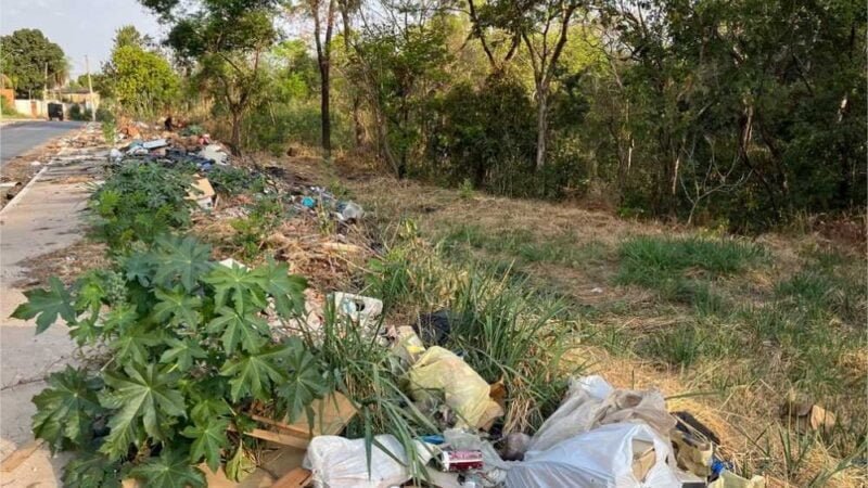 No Dia da Árvore, mutirão de limpeza em nascente será realizado nesta quinta-feira (21) em Cuiabá