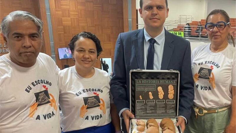 AL aprova o Dia Estadual do Nascituro para conscientização ao direito à vida e os riscos do aborto