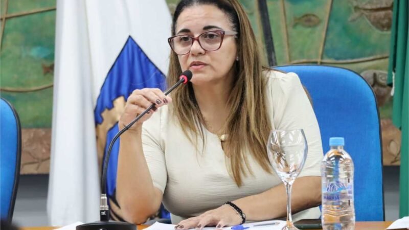 Lys conduz plenária pela primeira vez após assumir presidência em exercício do Crea-MT