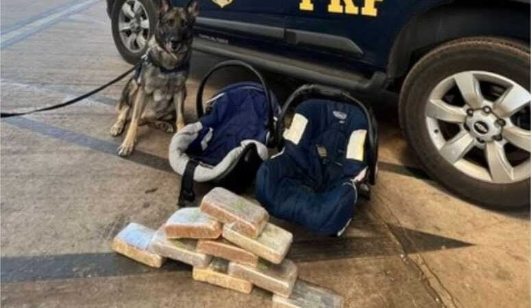 Cães farejadores encontram 9 kg de cocaína escondidos em cadeirinhas de bebê na BR-364
