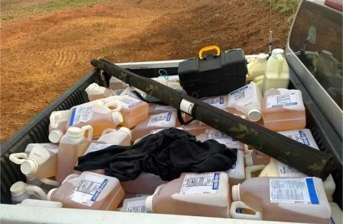 Ladrões invadem fazenda em Tapurah; PM realiza buscas aos criminosos