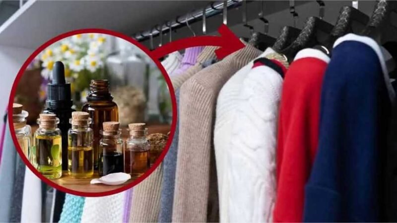 Como deixar perfume nas roupas com esses truques para guarda- roupa