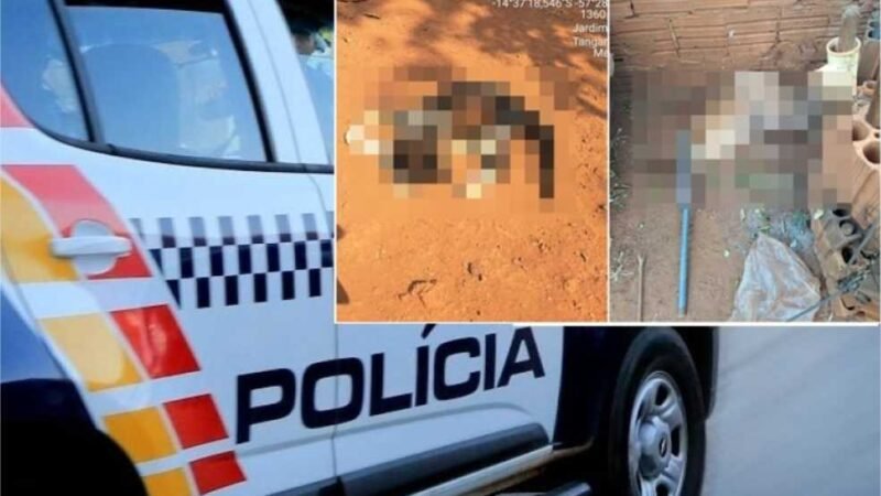 Homem é preso após torturar e matar animais domésticos