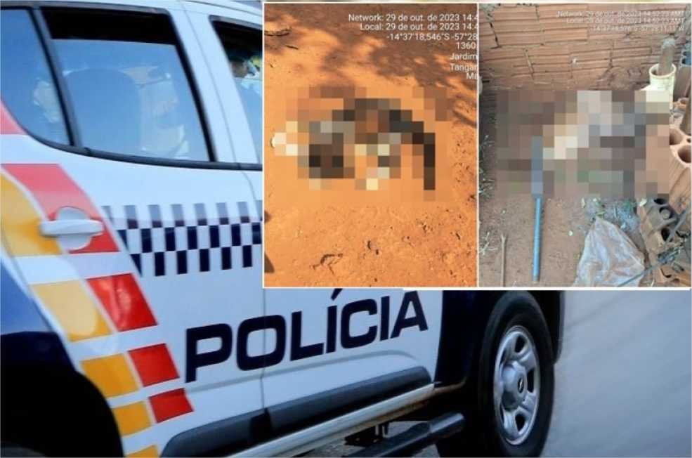 Homem é preso após torturar e matar animais domésticos