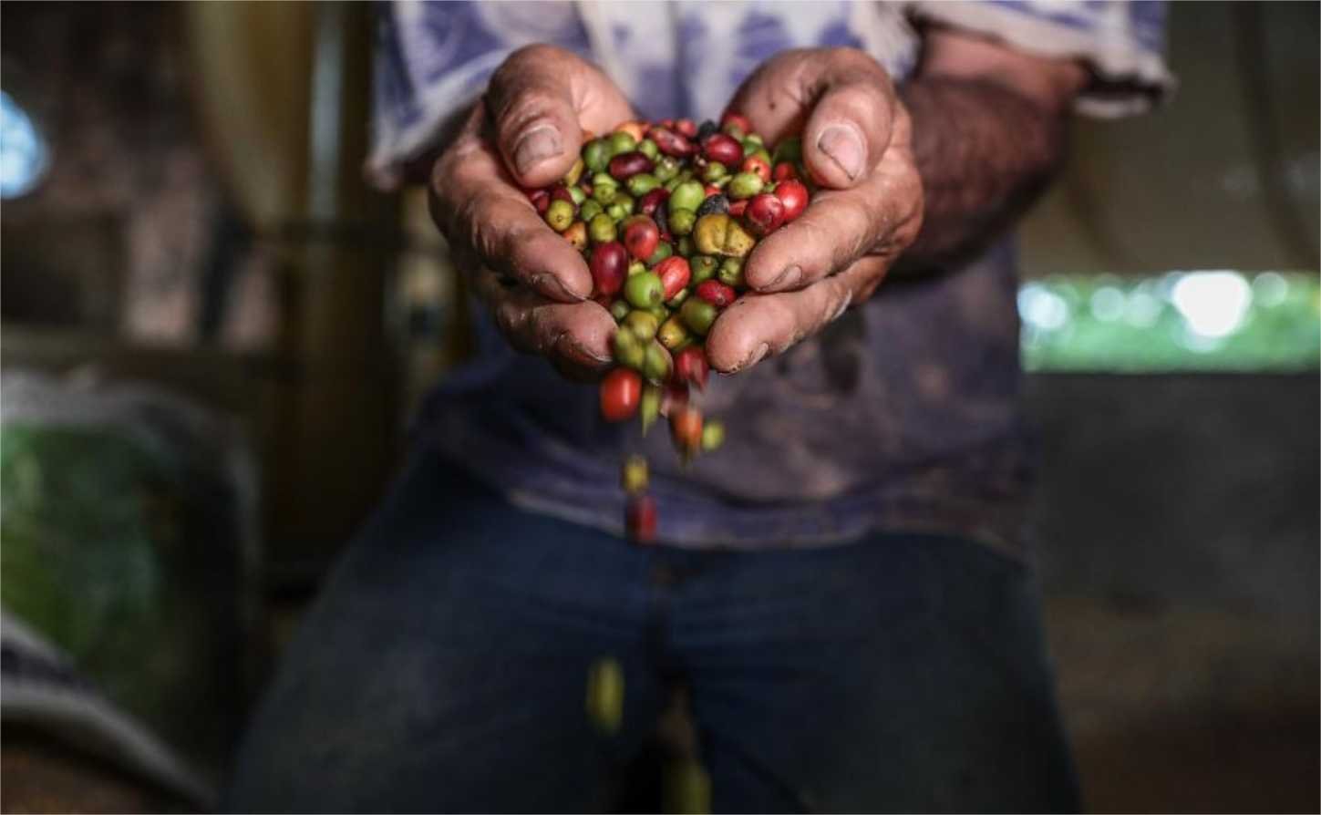 Prefeituras de MT têm até 31 de dezembro para aderir a sistema da Seaf e se beneficiar de lei de redistribuição de ICMS