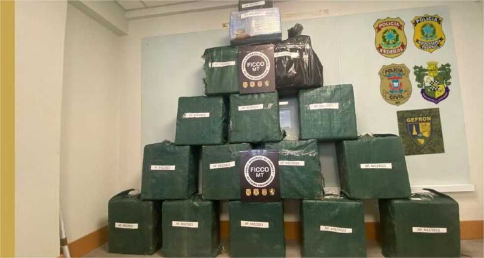 Ações das forças de segurança apreendem uma tonelada de cocaína em 15 dias; veja vídeos